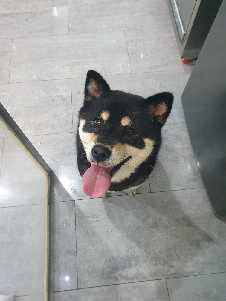 종료(반환) 시바의…